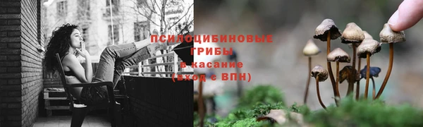 сатива Богданович