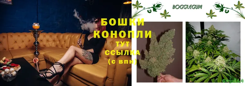 МЕГА маркетплейс  Нефтегорск  Бошки марихуана Amnesia 